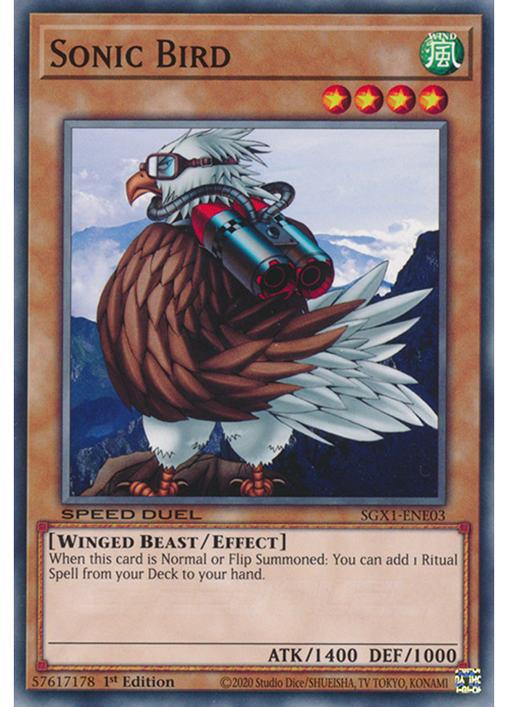Sonic Bird