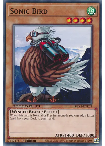 Sonic Bird