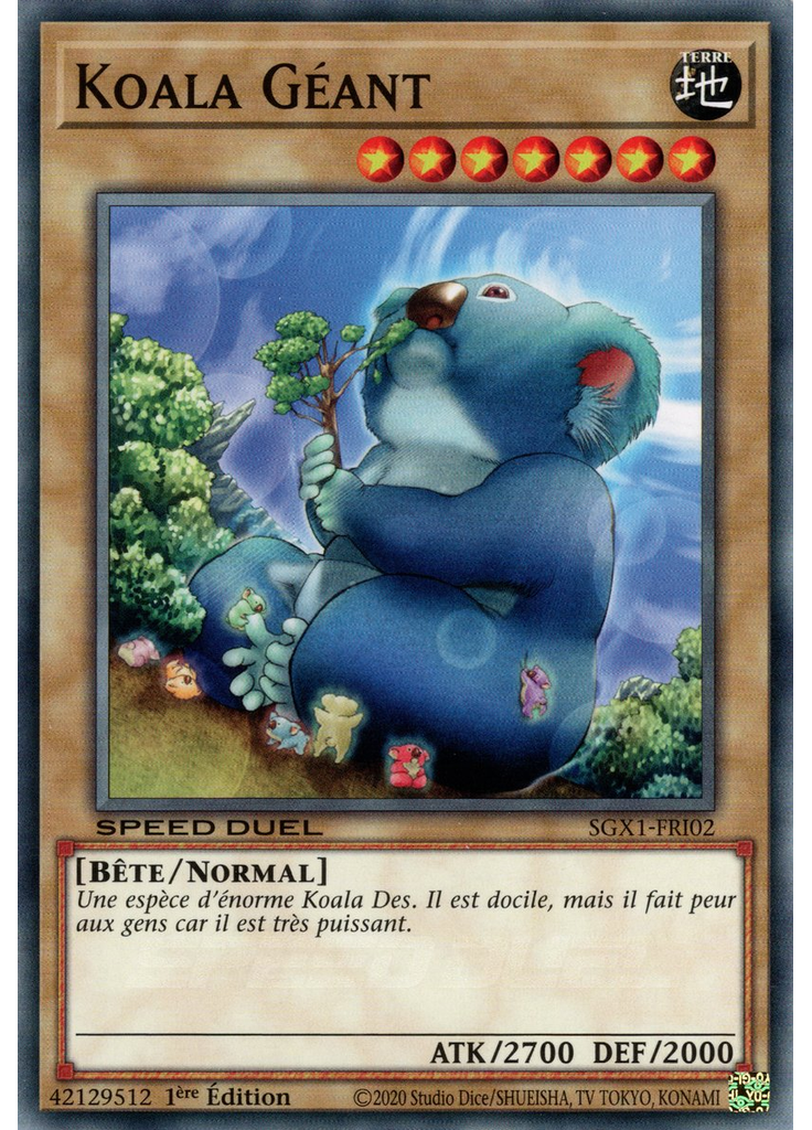 Koala Géant