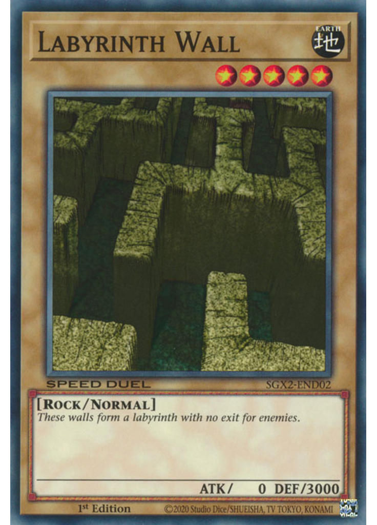 Labyrinth Wall