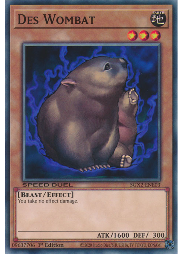 Des Wombat