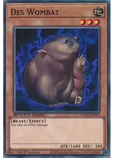 Des Wombat