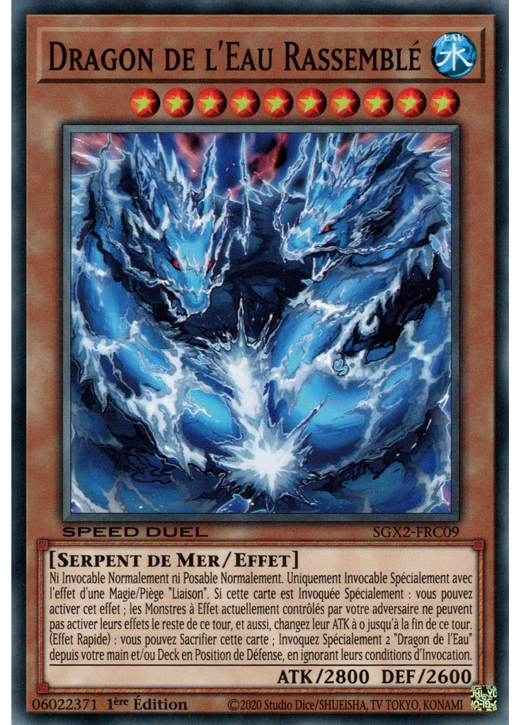 Dragon de l'Eau Rassemblé