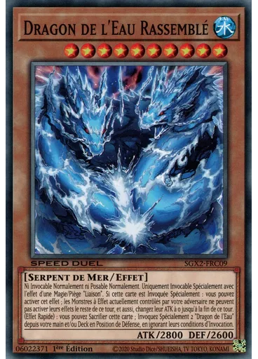 Dragon de l'Eau Rassemblé