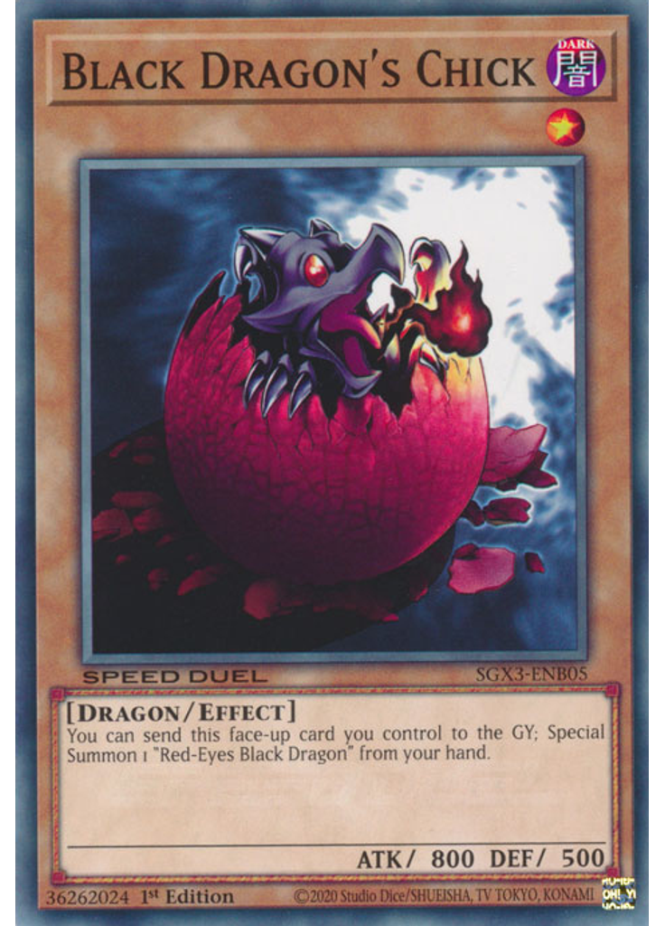Black Dragon's Chick