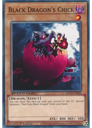 Black Dragon's Chick