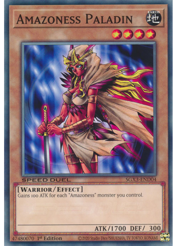 Amazoness Paladin