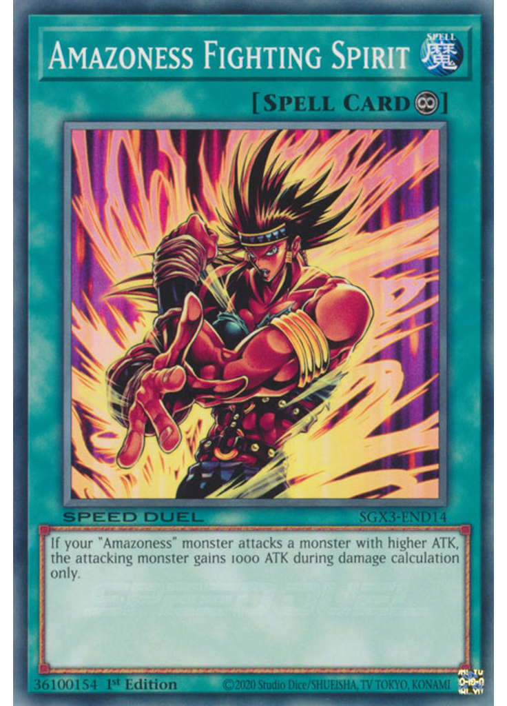 Amazoness Fighting Spirit