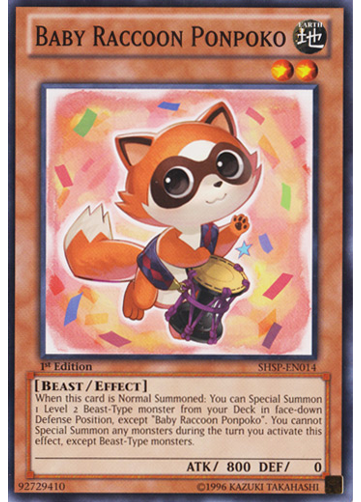 Baby Raccoon Ponpoko