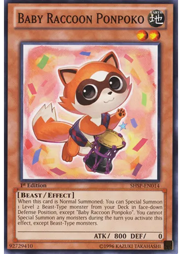 Baby Raccoon Ponpoko