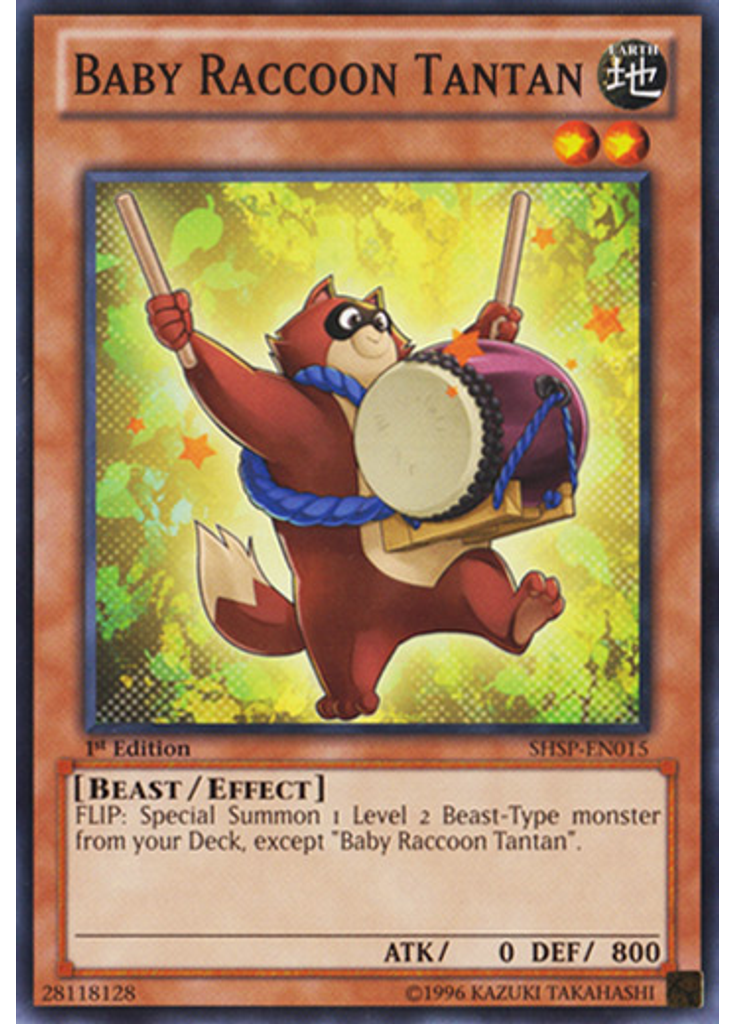 Baby Raccoon Tantan