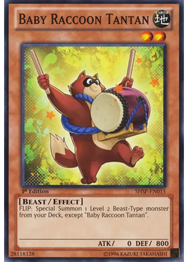 Baby Raccoon Tantan