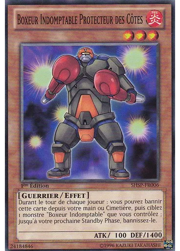 Boxeur Indomptable Protecteur des Côtes