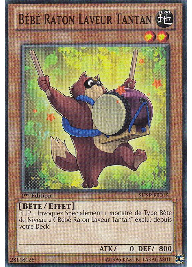 Bébé Raton Laveur Tantan
