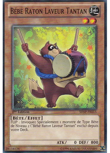 Bébé Raton Laveur Tantan