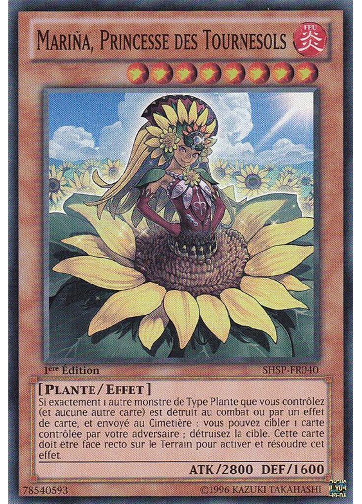 Mariña, Princesse des Tournesols