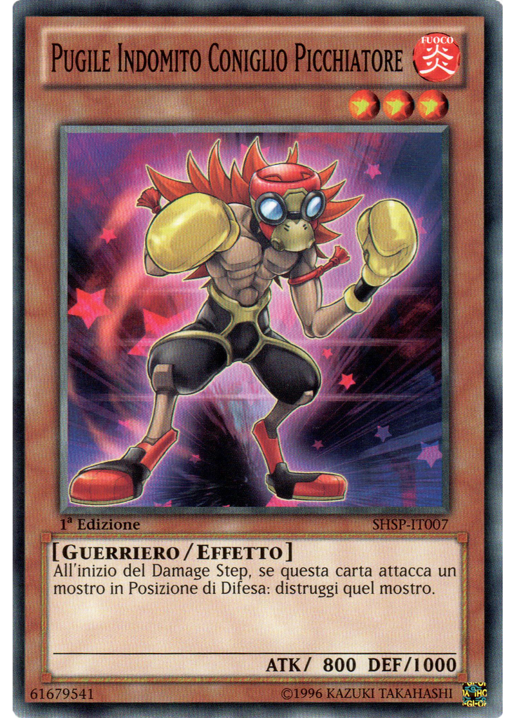 Pugile Indomito Coniglio Picchiatore