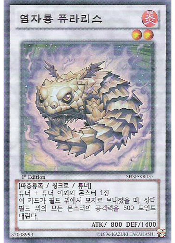 염자룡 퓨라리스