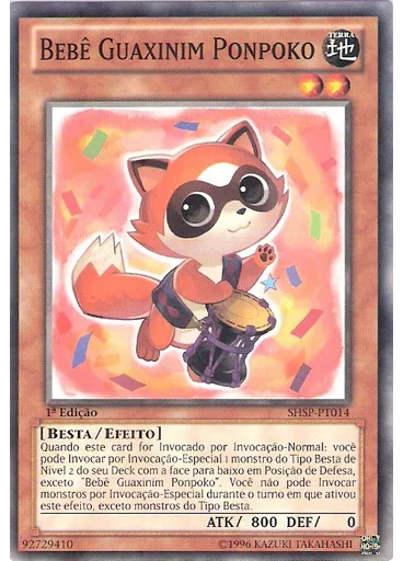 Bebê Guaxinim Ponpoko