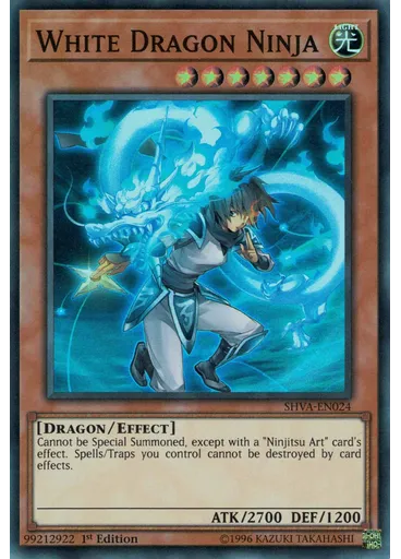 White Dragon Ninja — Shadows in Valhalla