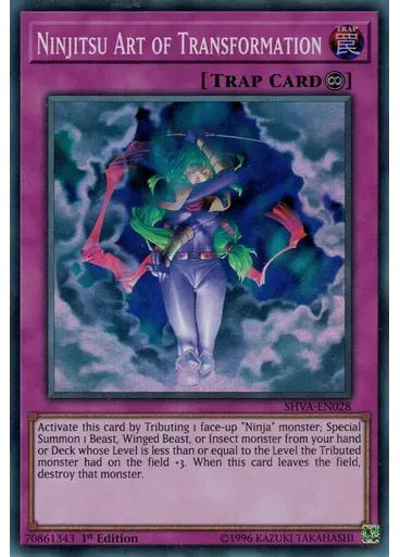 Ninjitsu Art of Transformation