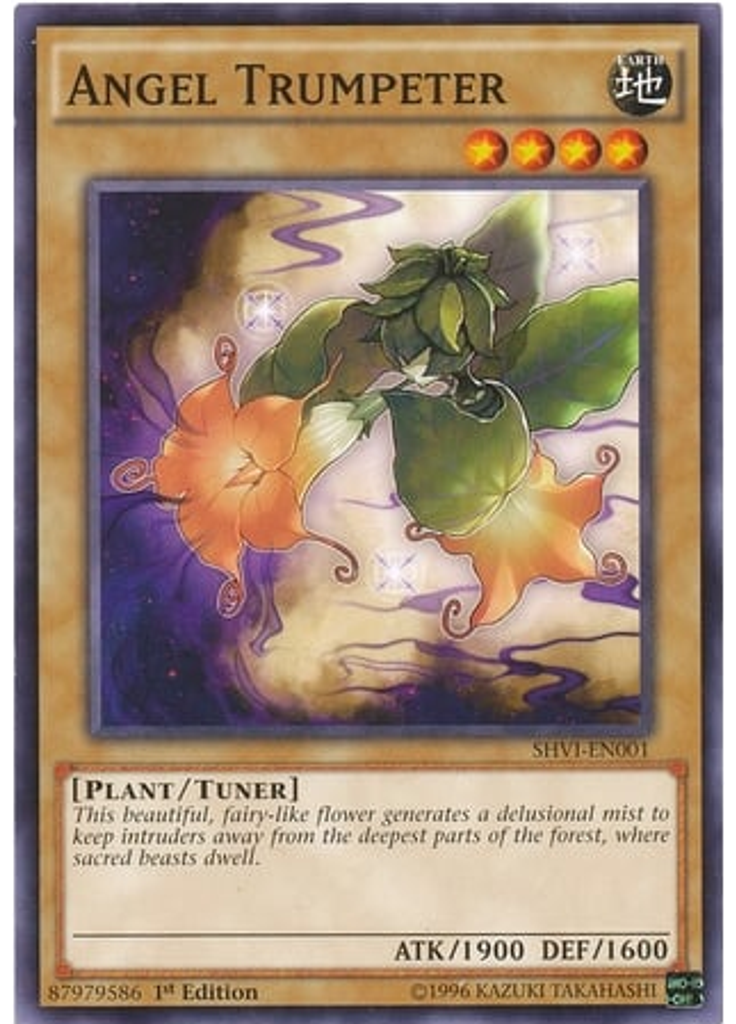 Angel Trumpeter