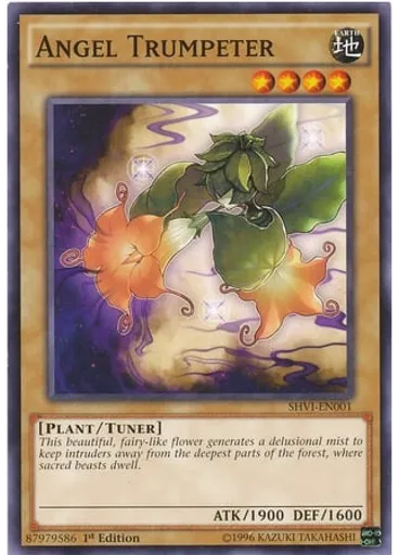 Angel Trumpeter