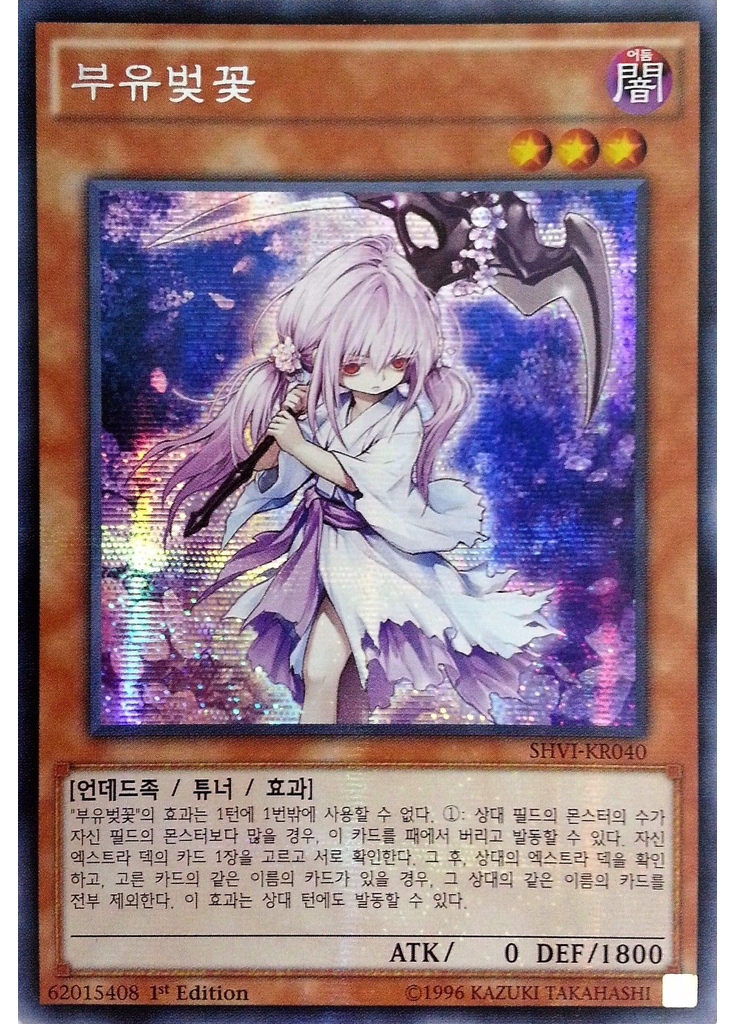 부유벚꽃 (Secret Rare 1st Edition)