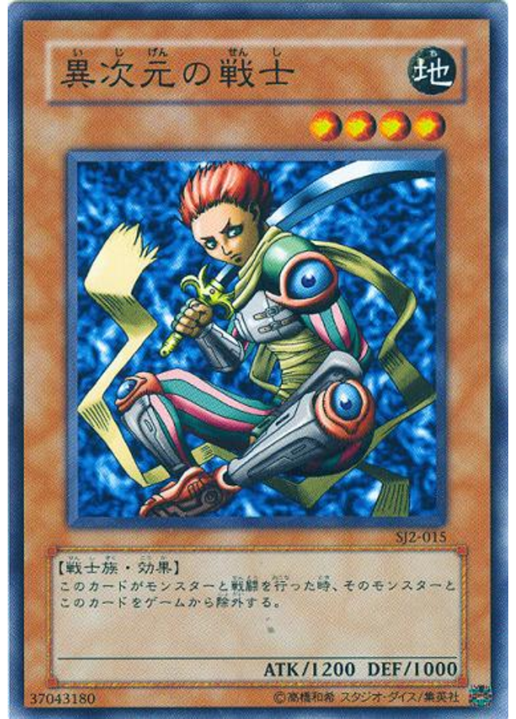 異次元の戦士