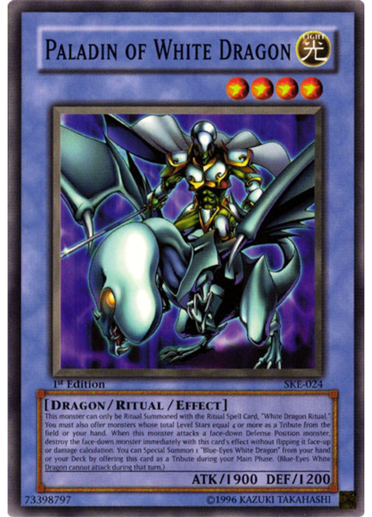 Paladin of White Dragon