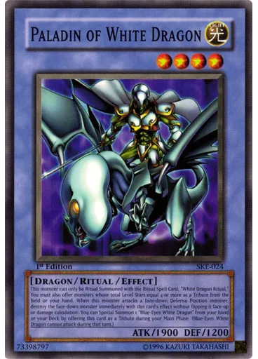 Paladin of White Dragon