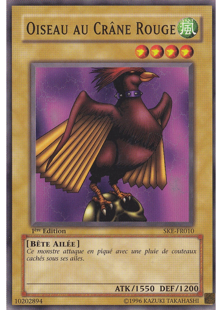 Oiseau au Crâne Rouge
