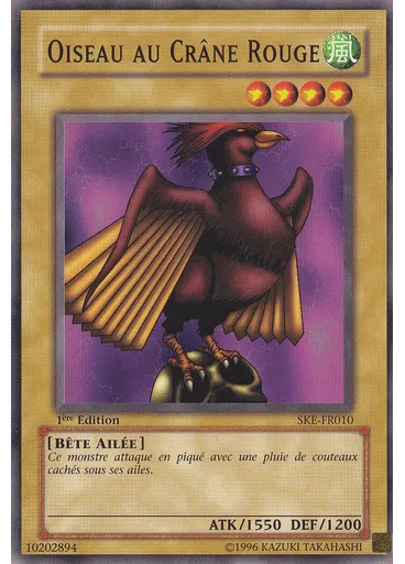 Oiseau au Crâne Rouge