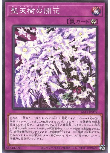 聖天樹の開花