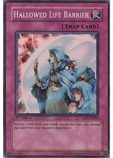 Hallowed Life Barrier