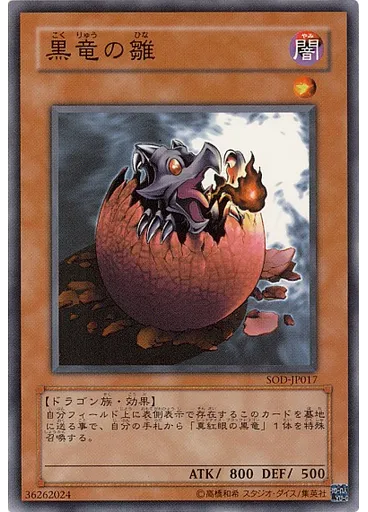 黒竜の雛