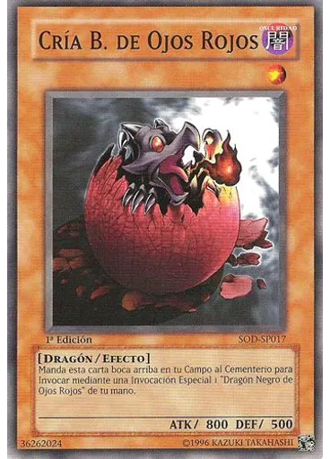 Cría de Dragón Negro
