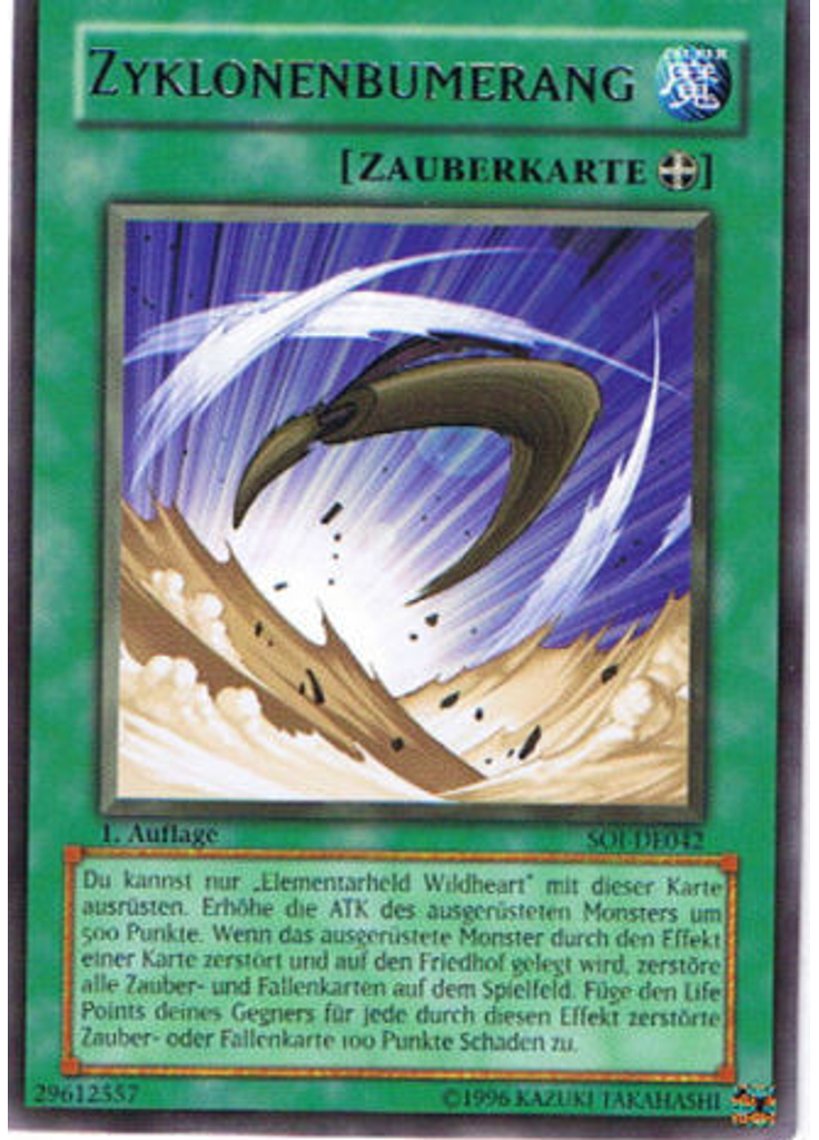 Zyklonenbumerang