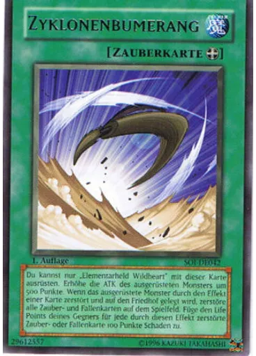 Zyklonenbumerang