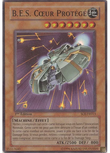 B.E.S. Cœur Protégé