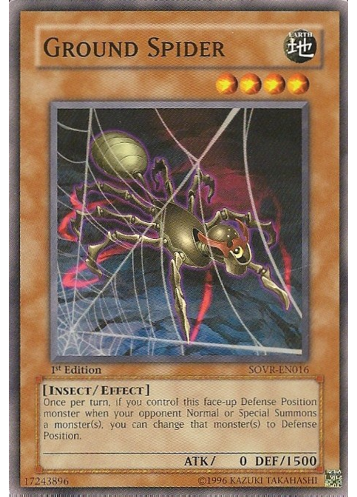 Ground Spider