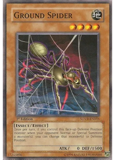 Ground Spider