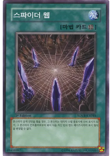 스파이더 웹