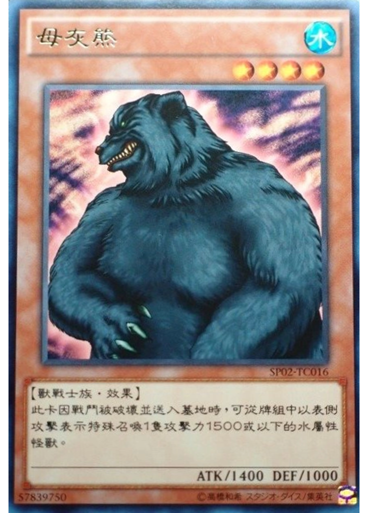 母灰熊