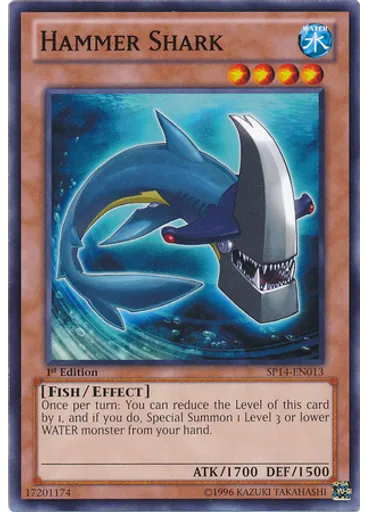 Hammer Shark