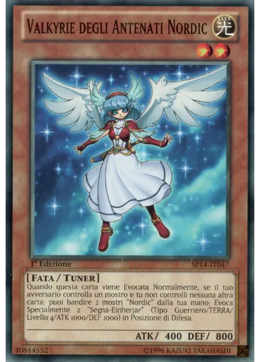 Valkyrie degli Antenati Nordic