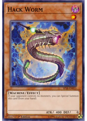 Hack Worm