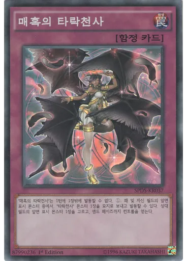 매혹의 타락천사