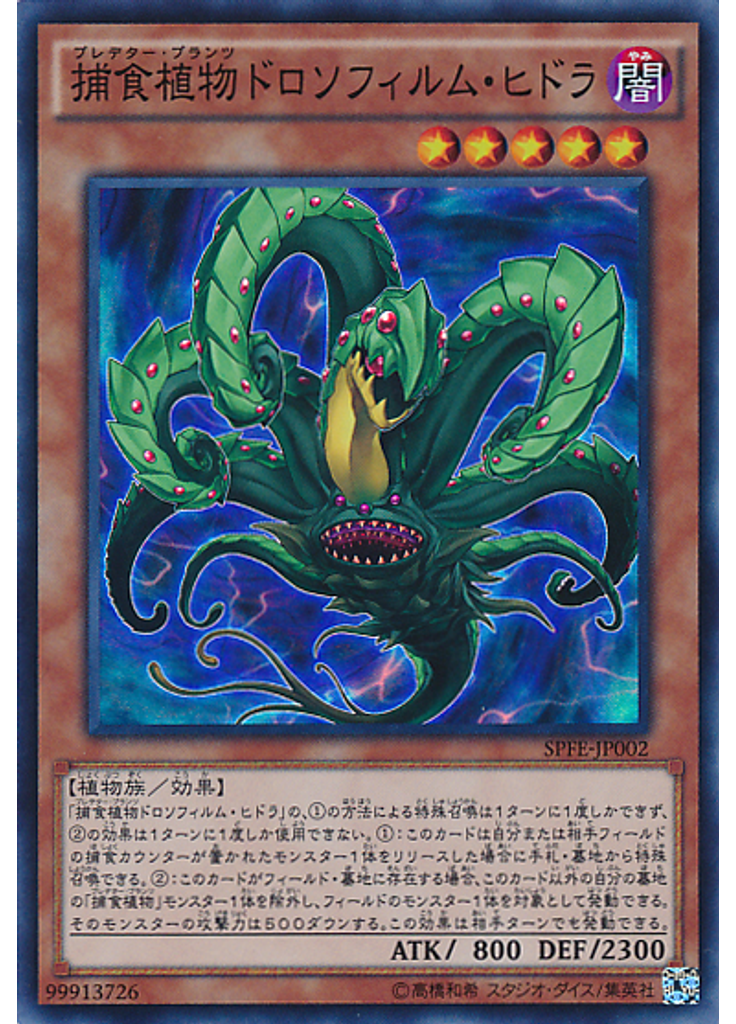 捕食植物ドロソフィルム・ヒドラ