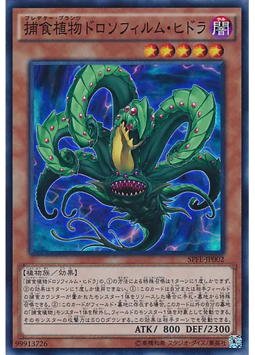 捕食植物ドロソフィルム・ヒドラ